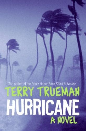 Cover of Hurricane: A Novel
