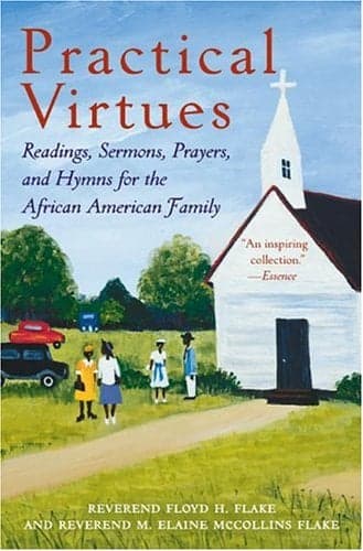 Cover of Practical Virtues
