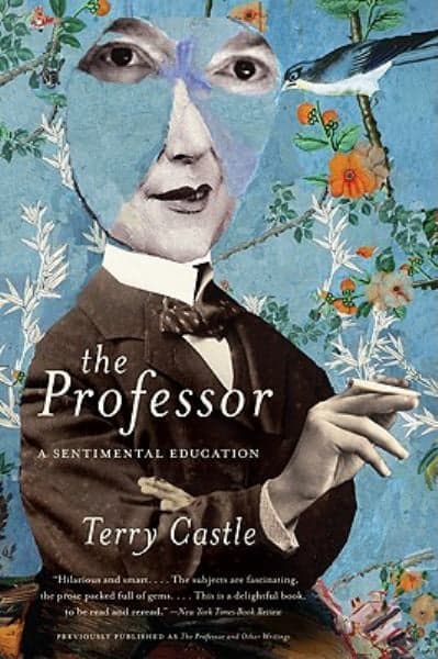 Cover of The Professor: A Sentimental Education