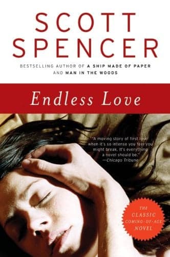 Cover of Endless Love (P.S.)