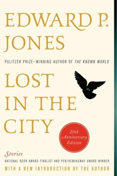 Cover of Lost in the City