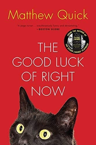 Cover of The Good Luck of Right Now