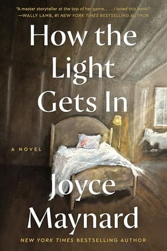 Cover of How the Light Gets In