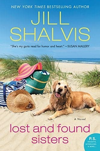 Cover of Lost and Found Sisters