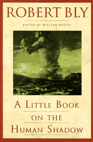 Cover of A Little Book on the Human Shadow