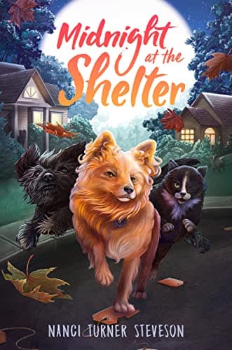 Cover of Midnight at the Shelter