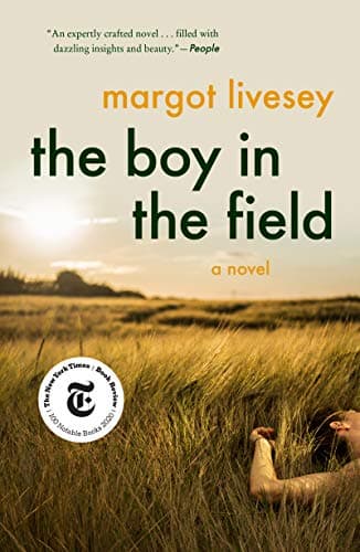 Cover of The Boy in the Field