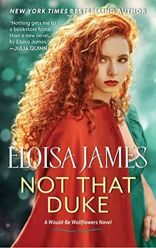 Cover of Not That Duke (Would-Be Wallflowers, Bk. 3)