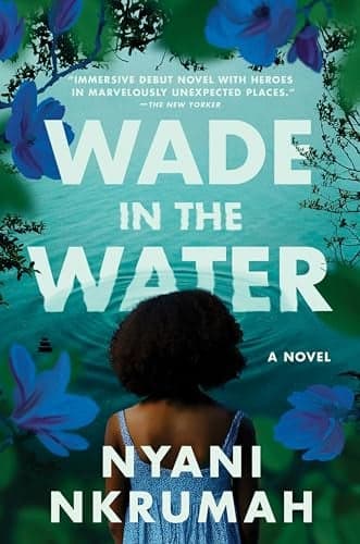 Cover of Wade in the Water