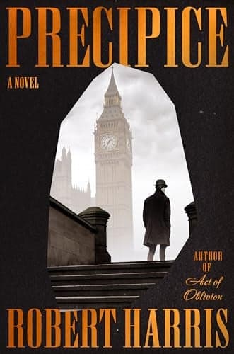 Cover of Precipice