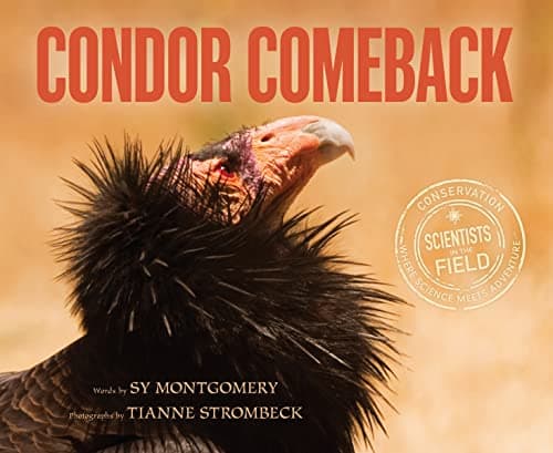 Cover of Condor Comeback (Scientists in the Field)