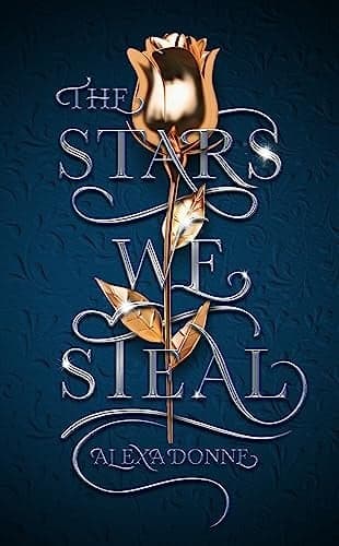 Cover of The Stars We Steal