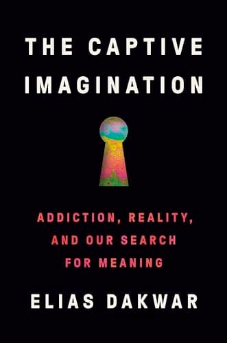 Cover of The Captive Imagination: Addiction, Reality, and Our Search for Meaning