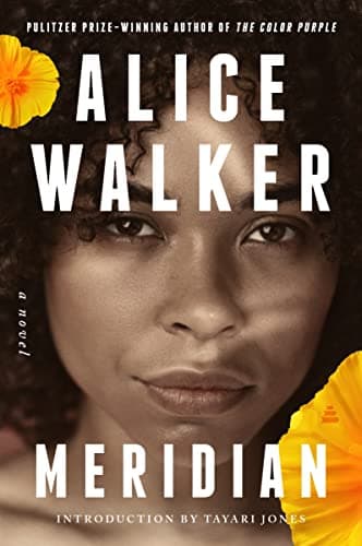 Cover of Meridian