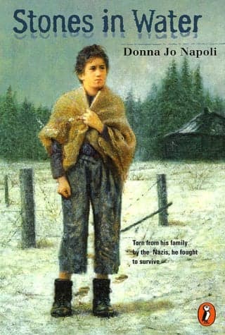 Cover of Stones In Water