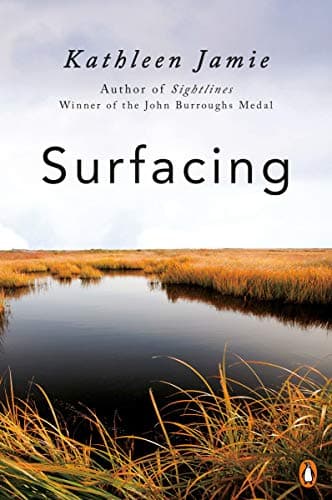 Cover of Surfacing