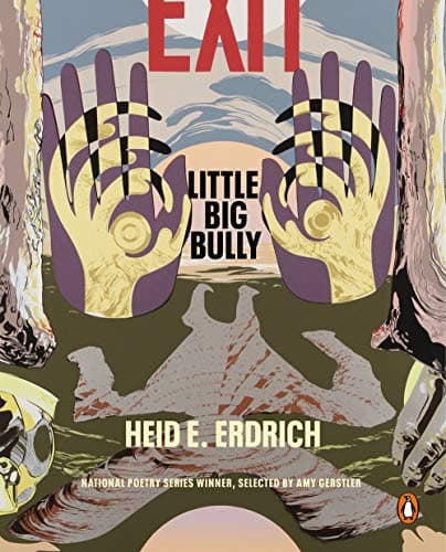 Cover of Little Big Bully (Penguin Poets)