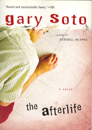 Cover of The Afterlife