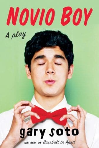Cover of Novio Boy: A Play