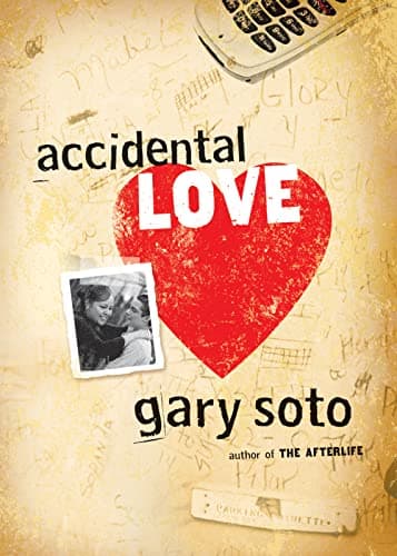 Cover of Accidental Love