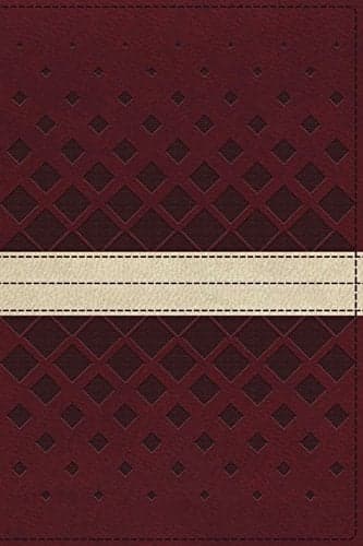 Cover of NKJV, Unapologetic Study Bible (Red/Tan Imitation Leather)