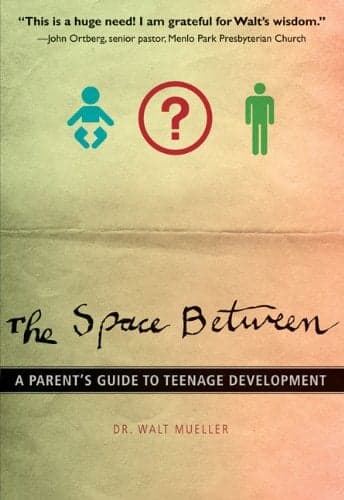 Cover of The Space Between