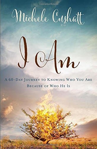 Cover of I Am: A 60-Day Journey to Knowing Who You Are Because of Who He Is