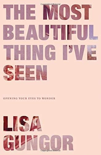 Cover of The Most Beautiful Thing I’ve Seen: Opening Your Eyes to Wonder
