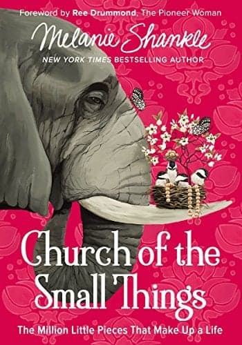 Cover of Church of the Small Things