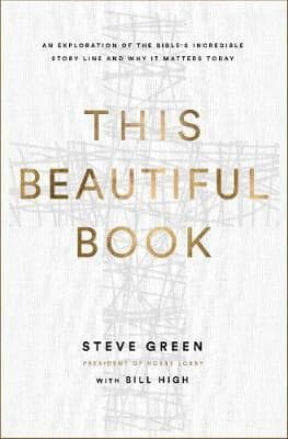 Cover of This Beautiful Book