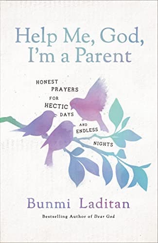 Cover of Help Me, God, I'm a Parent: Honest Prayers for Hectic Days and Endless Nights