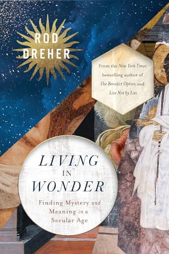 Cover of Living in Wonder: Finding Mystery and Meaning in a Secular Age