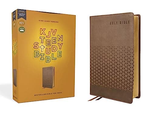 Cover of KJV Teen Study Bible (Brown Leathersoft)