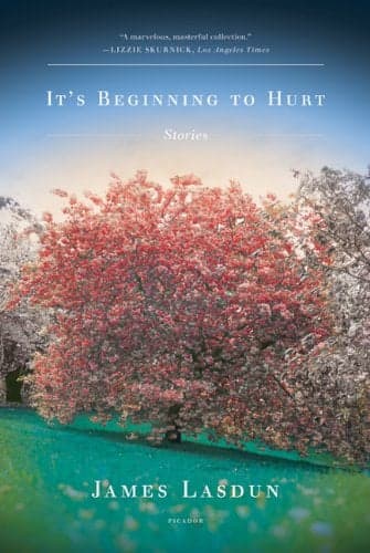 Cover of It's Beginning to Hurt: Stories