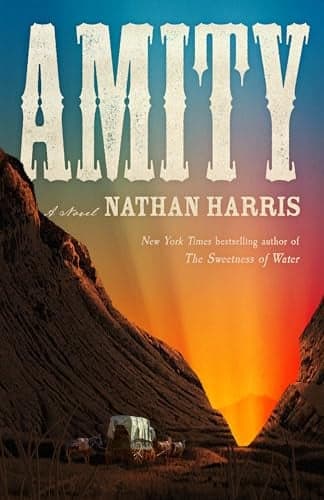 Cover of Amity