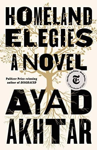 Cover of Homeland Elegies
