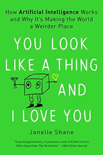 Cover of You Look Like a Thing and I Love You: How Artificial Intelligence Works and Why It's Making the World a Weirder Place