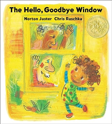 Cover of The Hello, Goodbye Window