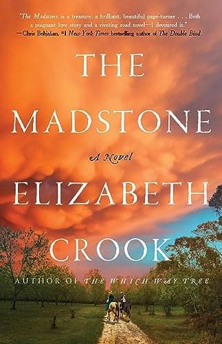 Cover of The Madstone