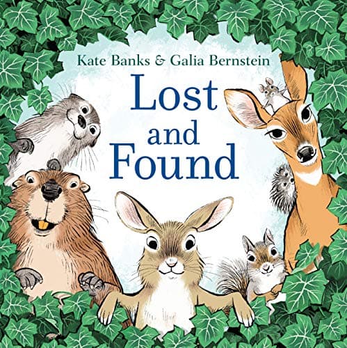 Cover of Lost and Found