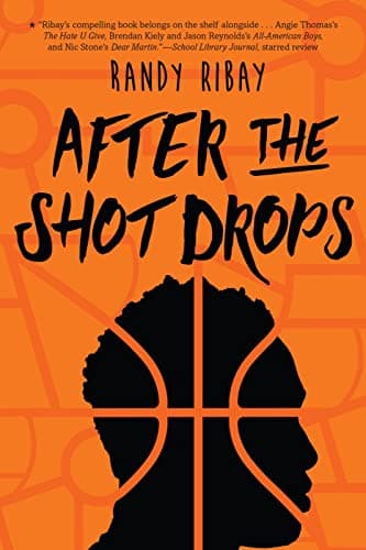Cover of After the Shot Drops