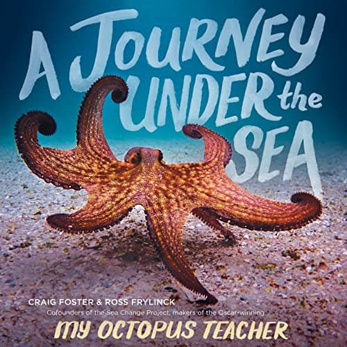 Cover of A Journey Under the Sea
