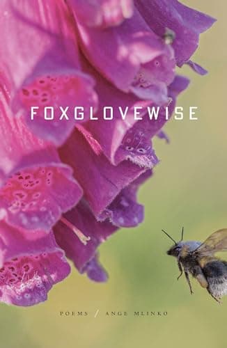 Cover of Foxglovewise: Poems