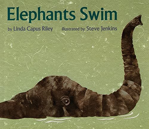 Cover of Elephants Swim
