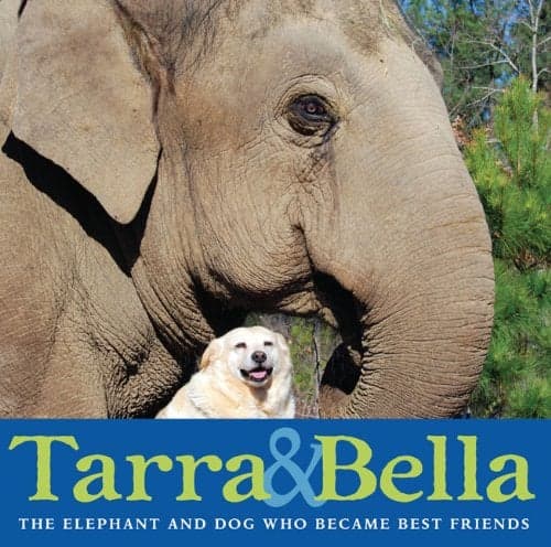 Cover of Tarra & Bella