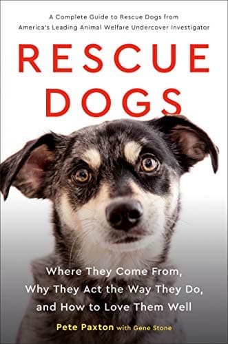 Cover of Rescue Dogs: Where They Come From, Why They Act the Way They Do, and How to Love Them Well