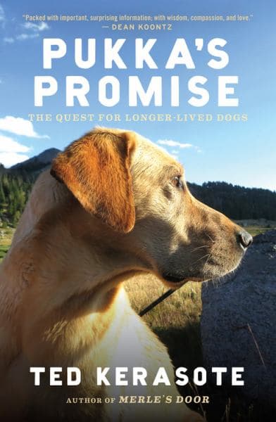 Cover of Pukka's Promise: The Quest for Longer-Lived Dogs