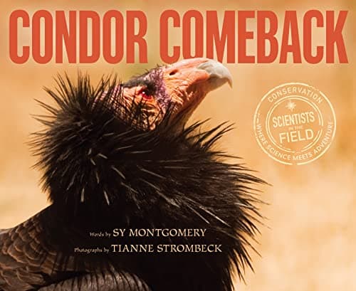 Cover of Condor Comeback (Scientists in the Field)