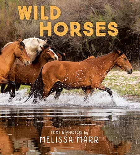 Cover of Wild Horses