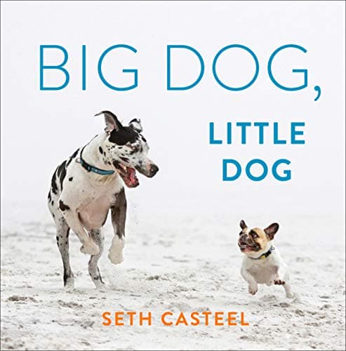 Cover of Big Dog, Little Dog